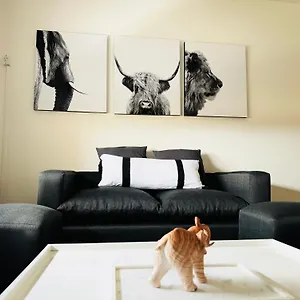Casa Huesped V En El Corazon De La Ciudad, A Una Cuadra De Peatonal, Con Parking Privado A 100 Metros! Mendoza